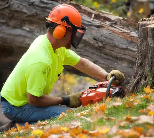 tree services Rawlings